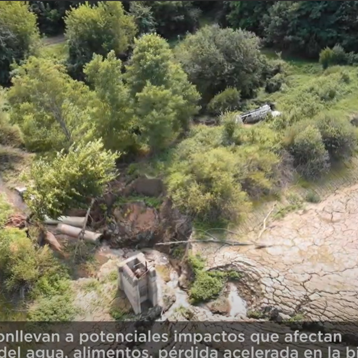 Imagen video